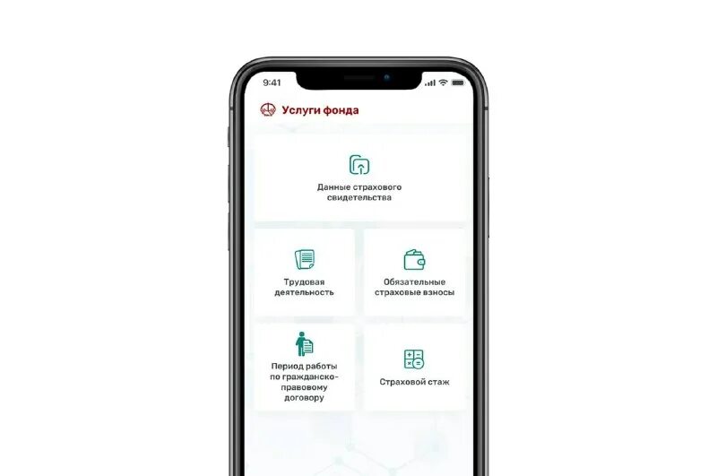 фсзн приложение