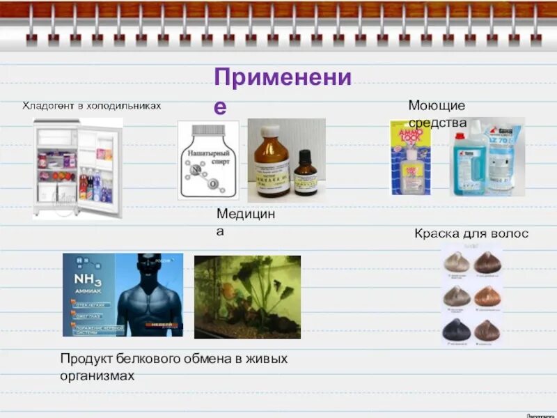 Область применения белков. Применение белков в мелец. Применение белка химия. Где используются белки. Белки применения.