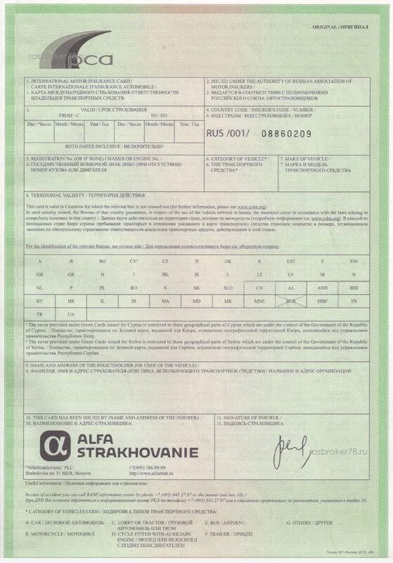 Страхование Грин карта на автомобиль. Полис зеленая карта. Зеленая карта ОСАГО. Зеленая карта альфастрахование.