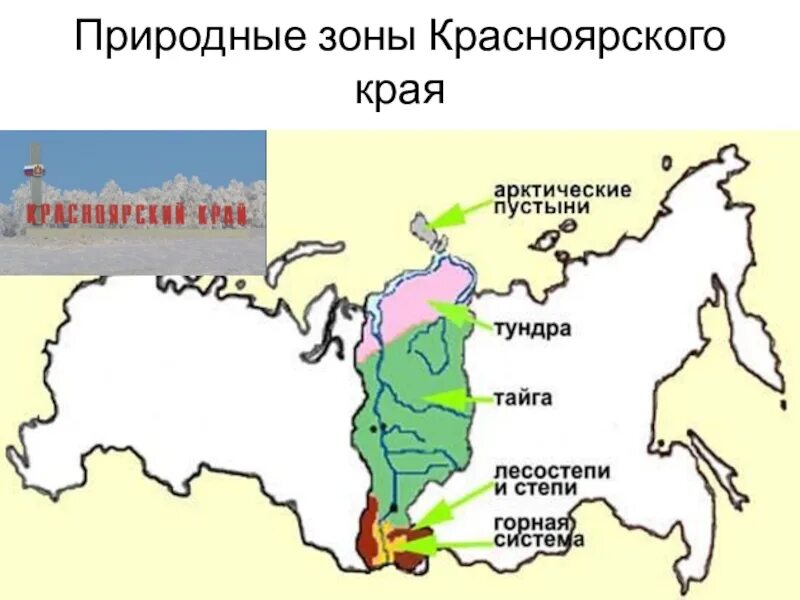 в какой природной зоне пермь. расположение пермского края. карта лесного хозяйства пермского края на 2021. в какой природной зоне расположен пермский край. карта природных зон.