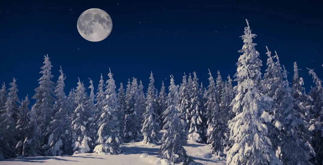 Полнолуние зима. Полнолуние зимой картинки. Каян Снежная Луна. Снег под луной фото.