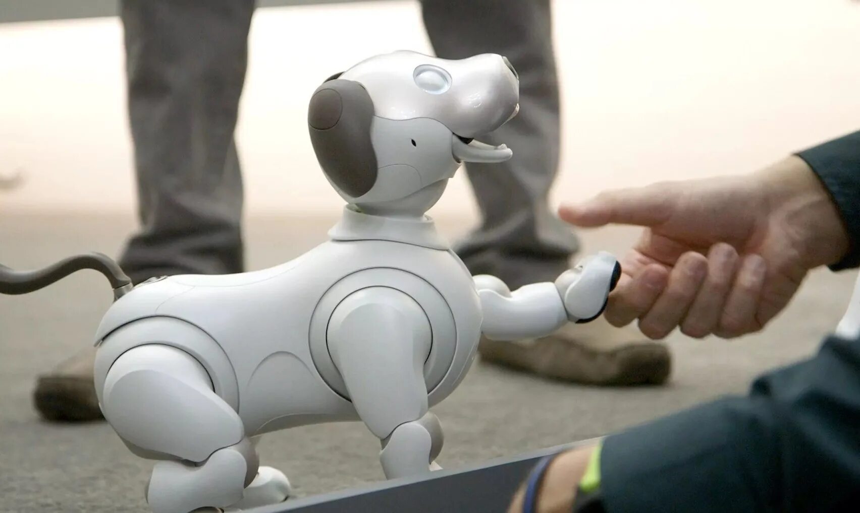 Робот собака смотрит. Робот собака aibo. sony aibo 1999. робот aibo от sony. sony aibo 2025.