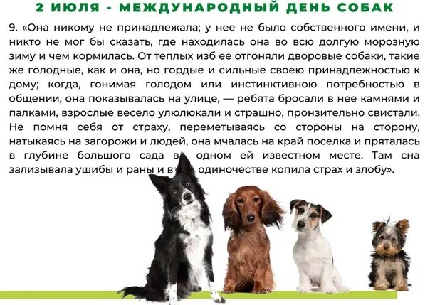 Щенку дали кличку