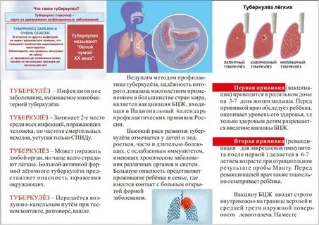 Насколько заразен туберкулез