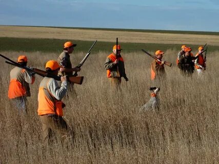 Farm hunt