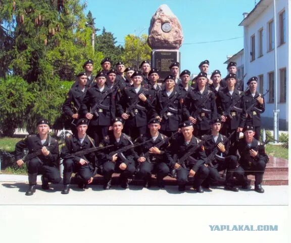 Трехсотый часть 115. Морская пехота 13140. Севастополь полк морской пехоты. 810 Бригада морской пехоты.