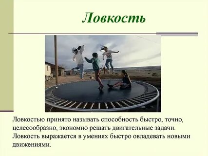 Под качеством ловкость понимают