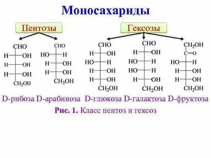 Простые сахара относятся к гидрофобным веществам