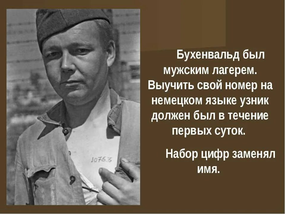 Ремарк концлагеря