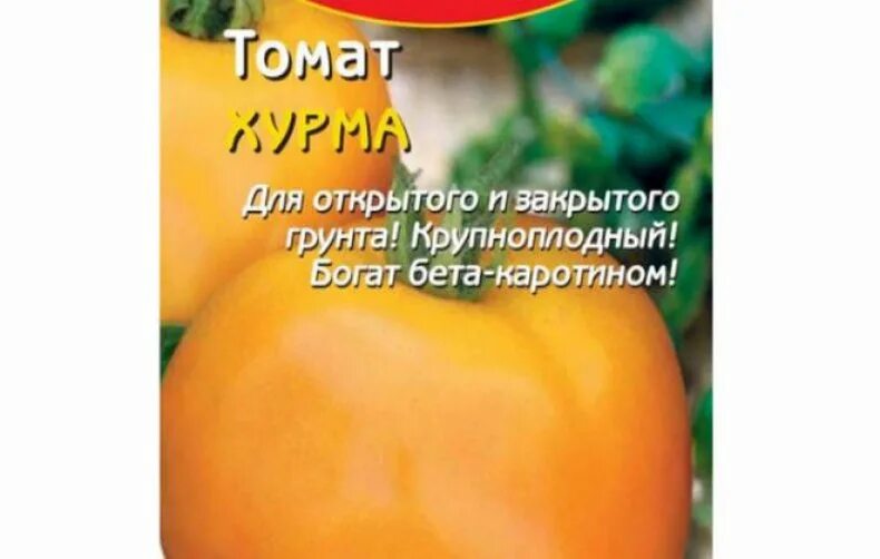 Хурма новой селекции - биф-томат и биколор, забыли про старую уДачный выбор Дзен
