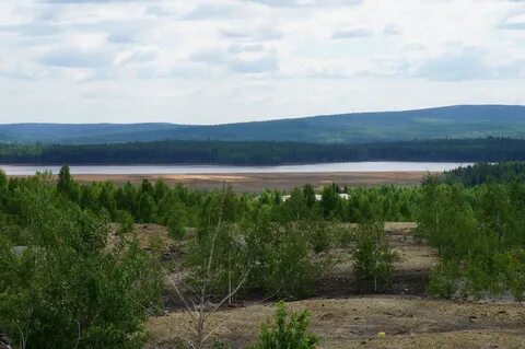 Погода в левихе на 10 дней
