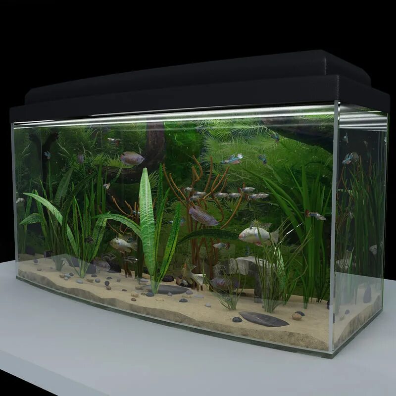 Наноаквариумы 3л. Аквариум 2 л. Аквариум 3 л. Аквариум 3d модель. Aquarium 3