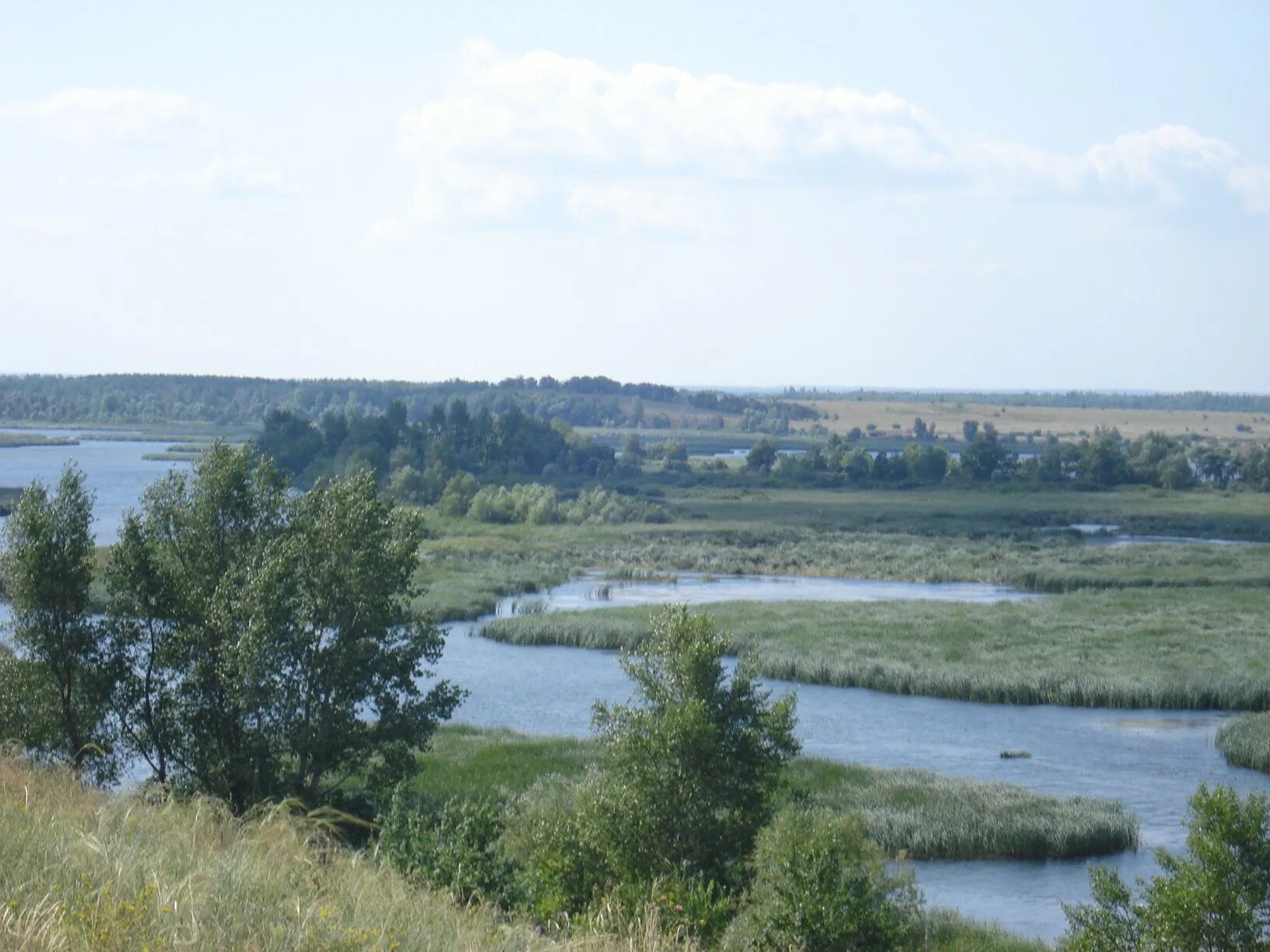 Чагра Самарская область. Речка Чагра Самарская область. Село Орловка Хворостянского района. Река Чагра.