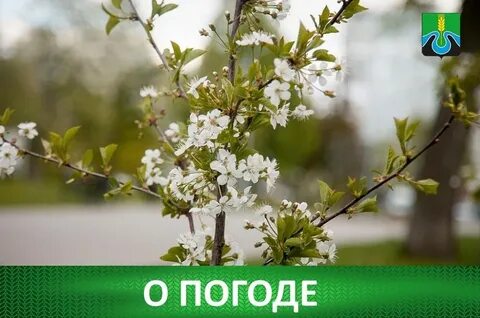 Апрель начало мая