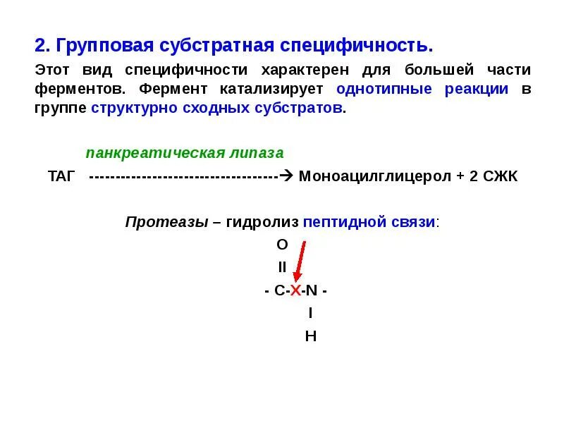 Групповая специфичность. Относительная групповая специфичность ферментов. Относительная специфичность ферментов примеры. Групповая Субстратная специфичность ферментов. Групповая специфичность ферментов примеры.