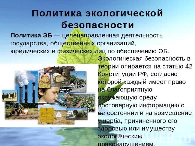 Экологическая безопасность бытовой деятельности человека