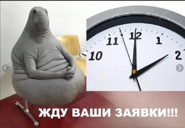 Буду ждать заказ. Жду заявку. жду заказы. ждем ваших заказов. жду заявки картинки.