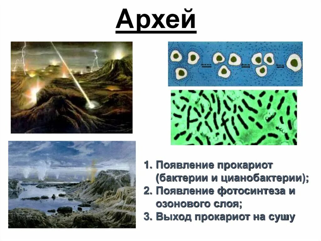 Живые организмы архея. Цианобактерии архейской эры. Архейская Эра. Синезеленые водоросли в архейскую эру. Архейская Эра Архейская Эра.