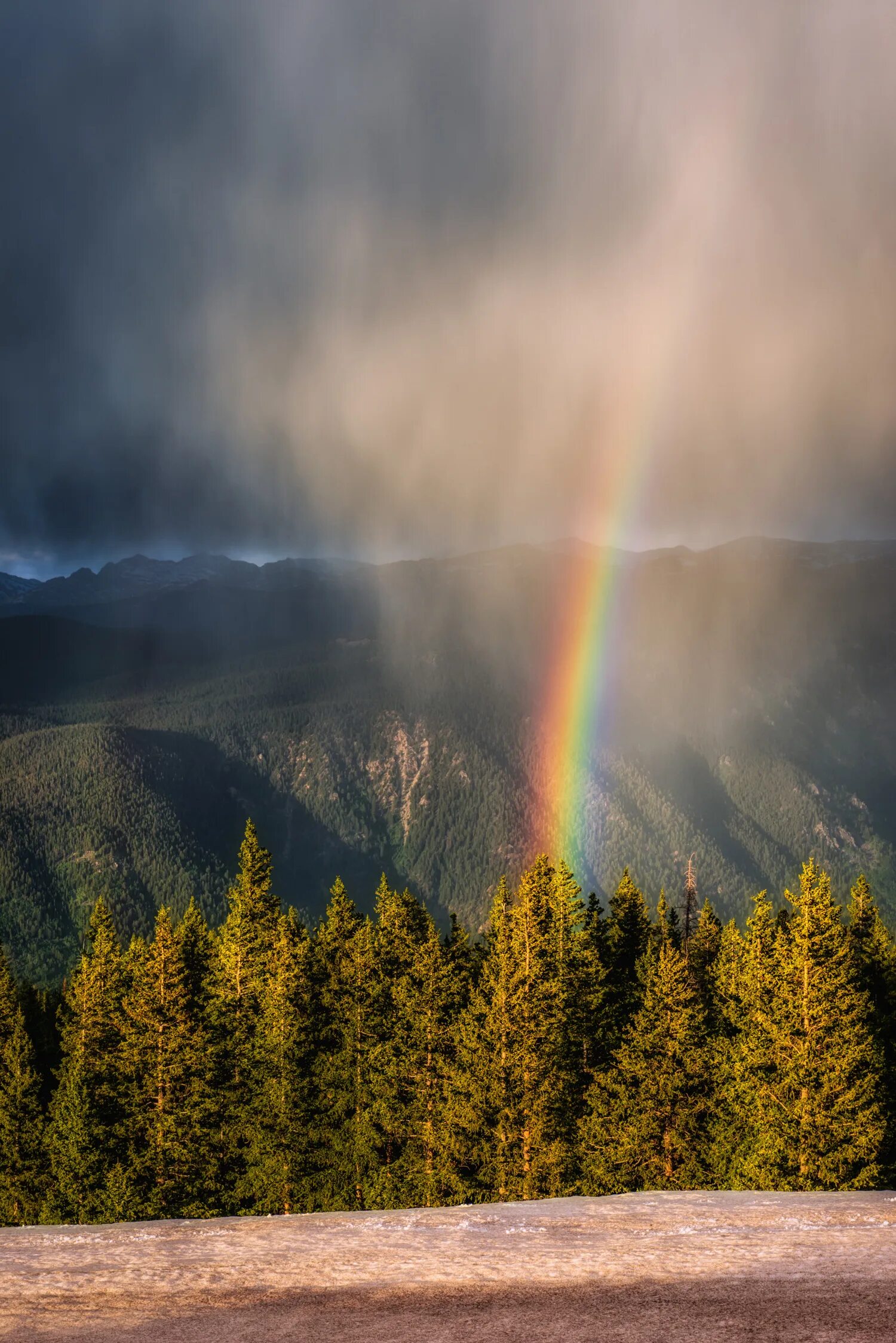 Rain on a sunny day. Sunny rain. Sunny rain. летний дождик. зонтик для детей.