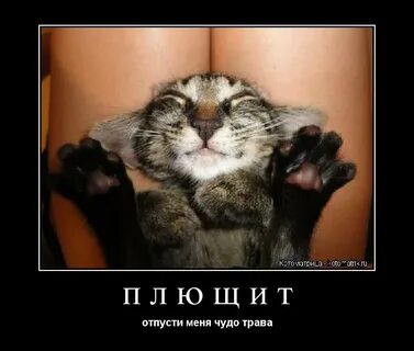 Дорогая отпусти меня