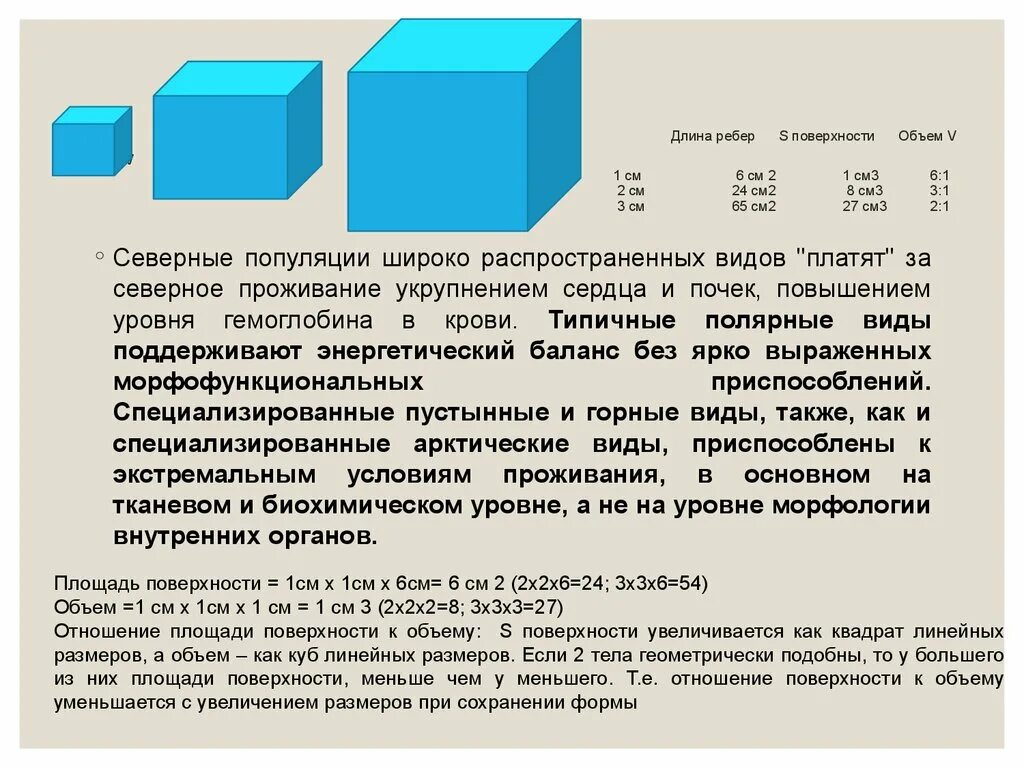 Проявить объем. Отношение поверхности к объему. Отношение площади поверхности к объему. Отношение площади к объему. Отношение площади к объему биология.