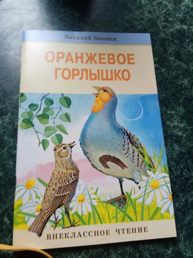 Виталия Бианки оранжевое горлышко. Обложка для книжки Бианки оранжевое горлышко. В в бианки оранжевое горлышко мурзук