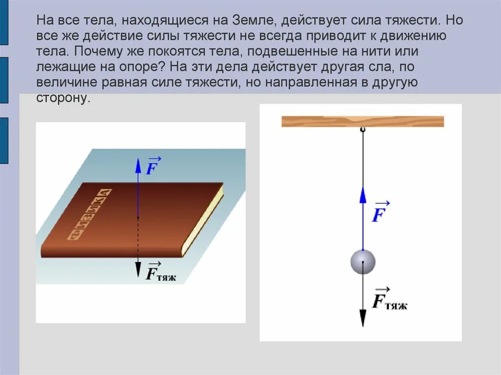 Физика 7 класс точка приложения силы тяжести. Сила упругости тела физика 7 класс. Вес тела и сила тяжести физика 7 класс. Силы действующие на тело сила тяжести.