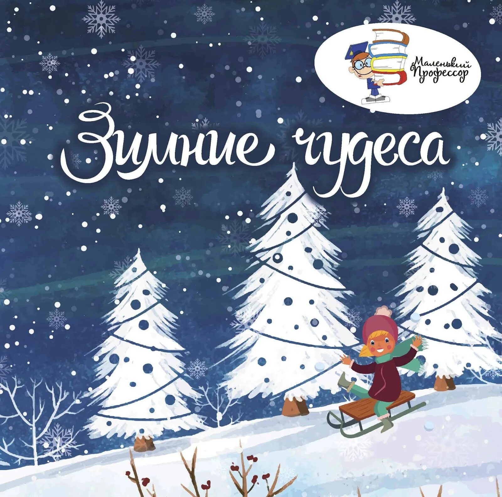 Книги о зиме. Зимняя книга. Книги о зиме, чудесах. Зимняя маленькая книжка. Книги о зиме для взрослых.