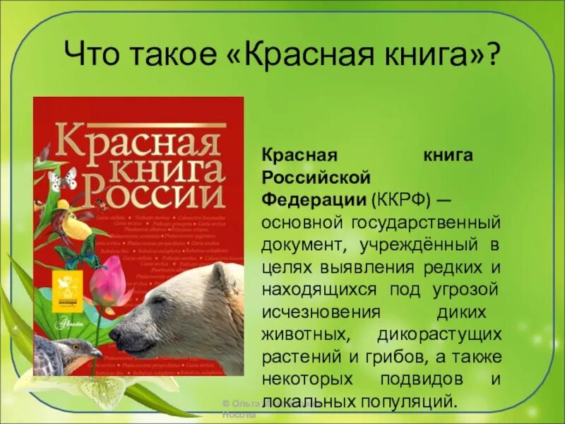 Красная книга какая она. Красная книга России. Что такоеикрасная книга. Красная книга России книга. Что Такео красная книг.