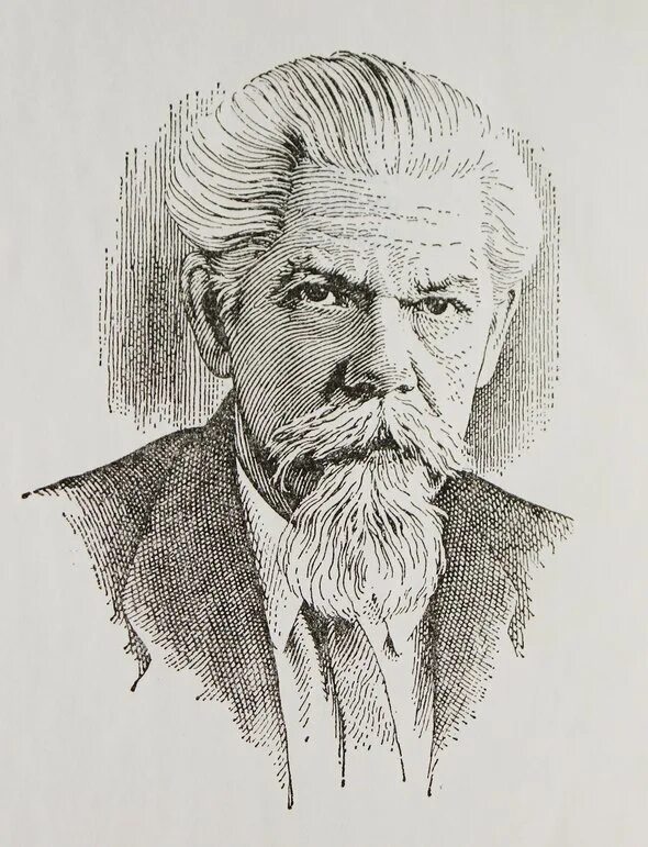 Биография ожегова сергея ивановича. Ожегов википедия. Ожегов лингвист. Ожегов википедия. Ожегов портрет.