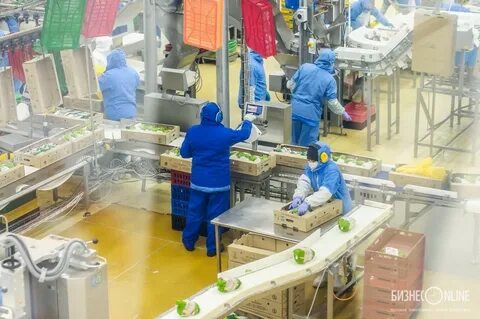 Свежая работа челны