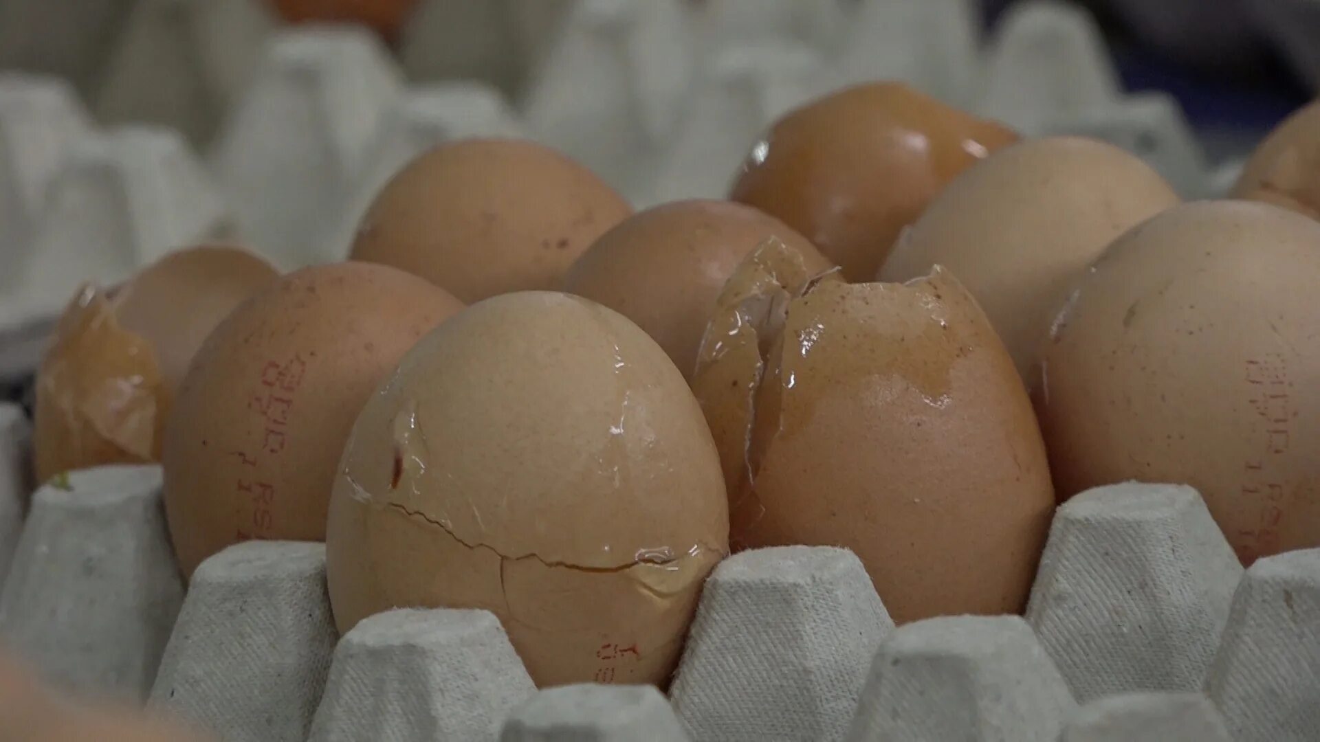 деформация скорлупы куриного яйца. некачественное яйцо. разбитое яйцо картинка. некачественное яйцо. сморщенное куриное яйцо.