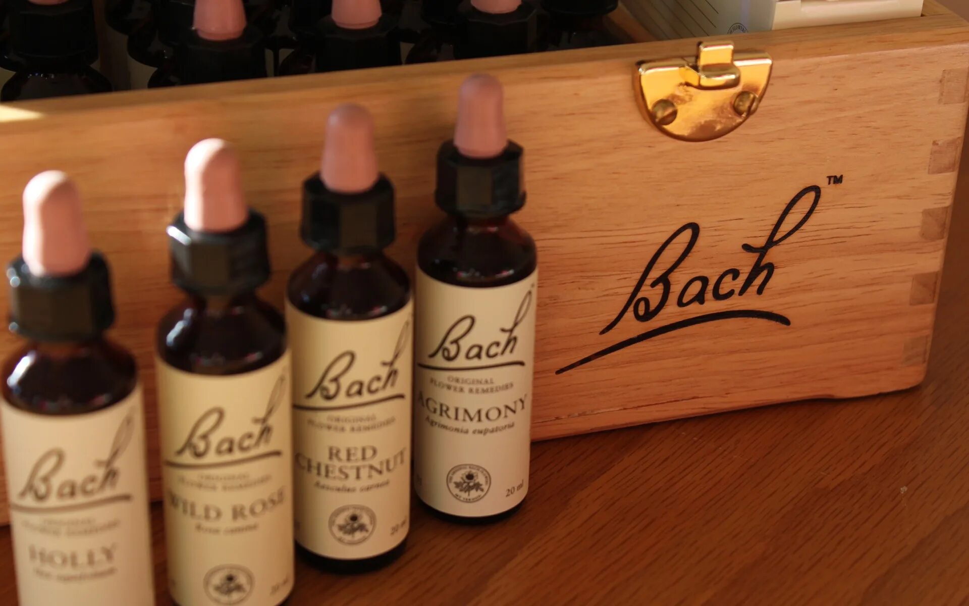 Dr bach