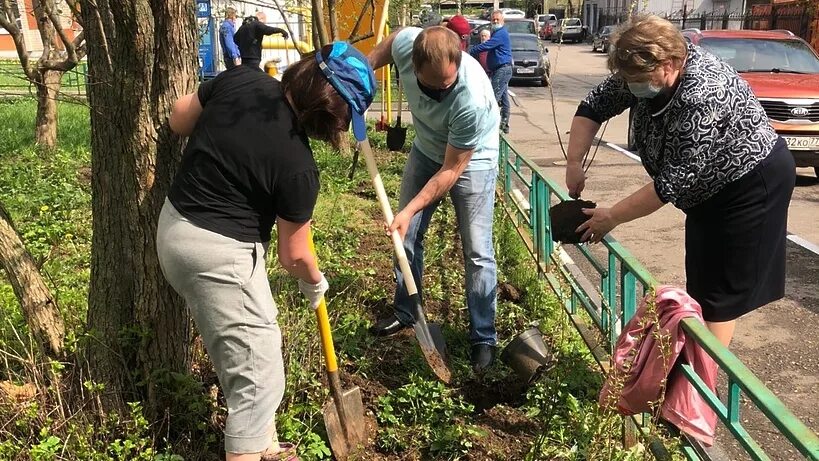 Садоводы посадили 3 ряда. Посадка деревьев. Садоводы посадили 3 ряда. Торжественная посадка деревьев. Посадка деревьев.