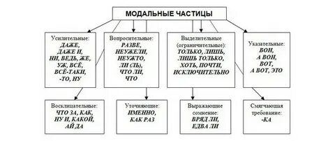 Разновидности частиц