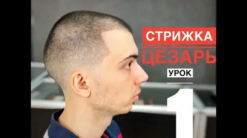 Стрижка 9 октября 2024