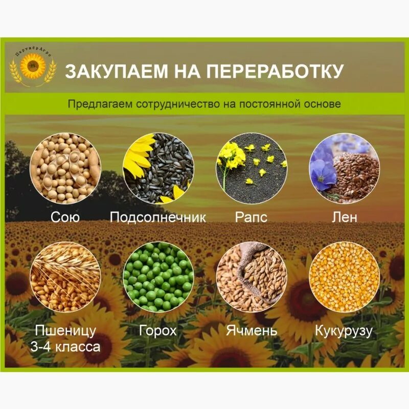 Продукты глубокой переработки. Продукт переработки сои 4. Завод по переработке подсолнечника. Генномодифицированная соя. Соя в мешках.