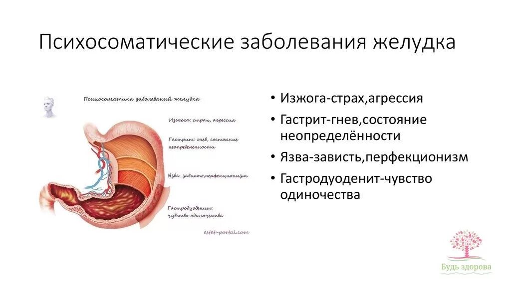 Психосоматика болезней у женщин кишечник и желудок. Гастродуоденит психосоматика заболевания. Кишечник психосоматика причины заболеваний. Язвенная болезнь желудка психосоматика.