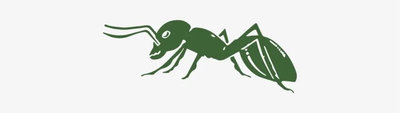 Ant ink. Ant ink