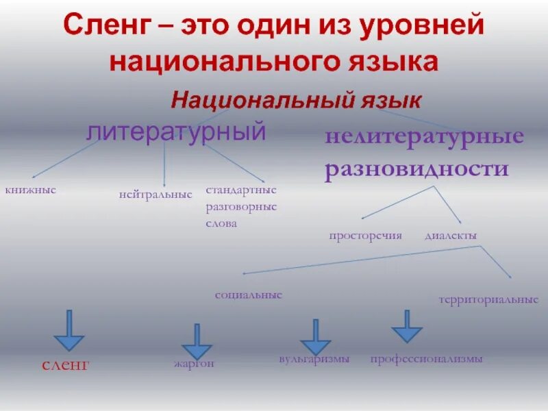 Составляющие национального языка. Национальный и литературный язык. Национальный язык примеры. Нелитературные разновидности национального языка. Национальный язык и литературный язык.