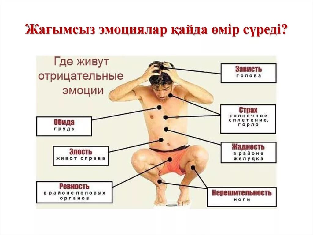 отразиться на организме