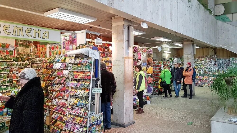 семена на вднх павильон 2022. семена на вднх павильон 2022. магазин семян на вднх в москве. вднх семена какой павильон. выставка обнови свой сад.