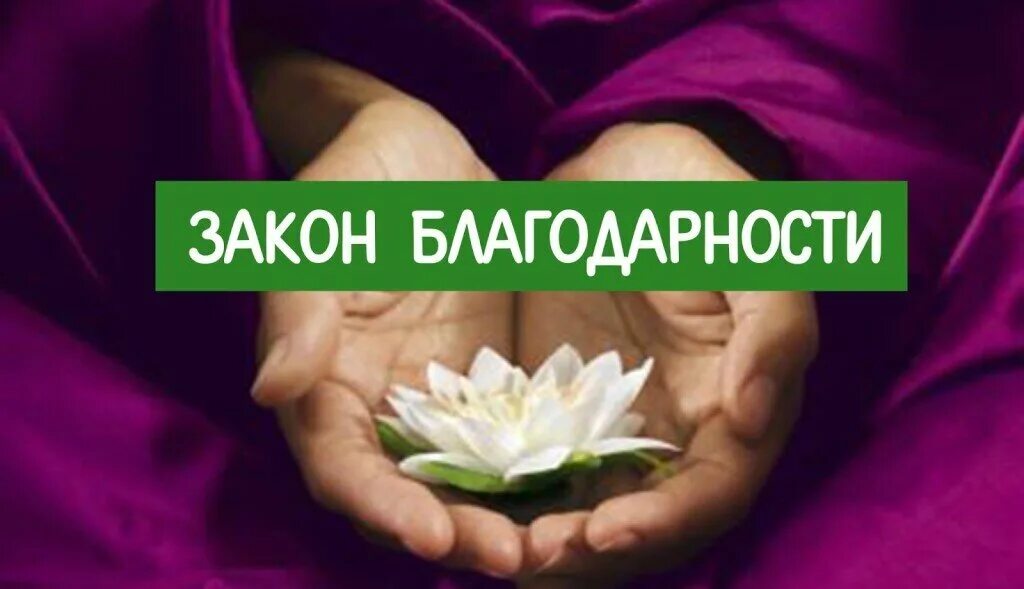 Какой человек благодарный. Закон благодарности. благодарность человеку. благодарность изобилие. практика благодарности.