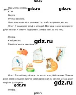 Окружающий мир рабочая тетрадь страница 59 ответы