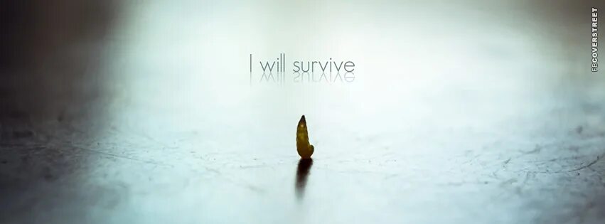 It will be survived. No one survived картинки. i will definitely survive.