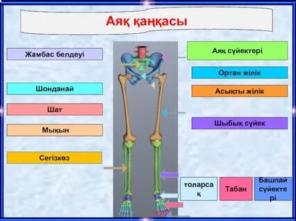 Мен оның ішіне абайлап кірдім