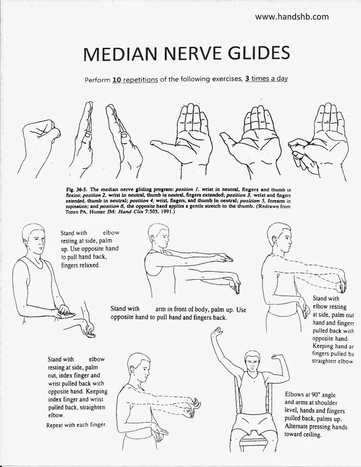 Комплекс лфк для лучезапястного сустава. Nerve median Gliding. ЛФК лучезапястного сустава после перелома. Ulnar nerve Glides. Median nerve Glide.