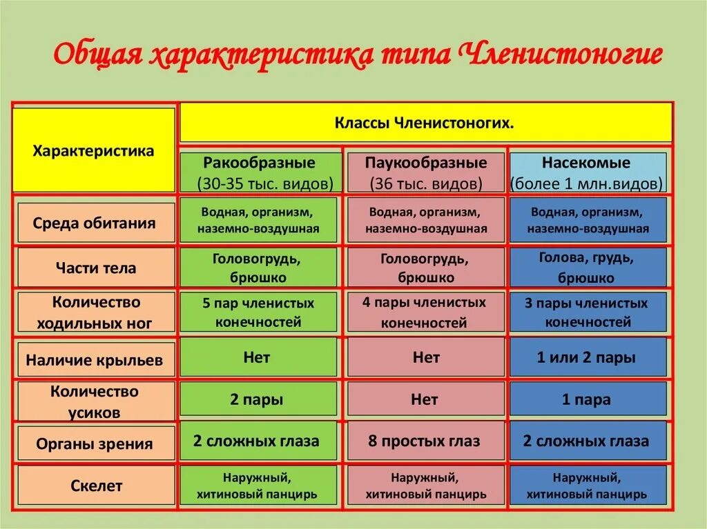 Краткая характеристика класса 8 класс. Класс насекомые общая характеристика 7 класс таблица. Общая характеристика членистоногих таблица. Общая характеристика типа членистоногих. Сравнительная характеристика классов членистоногих таблица 7 класс.