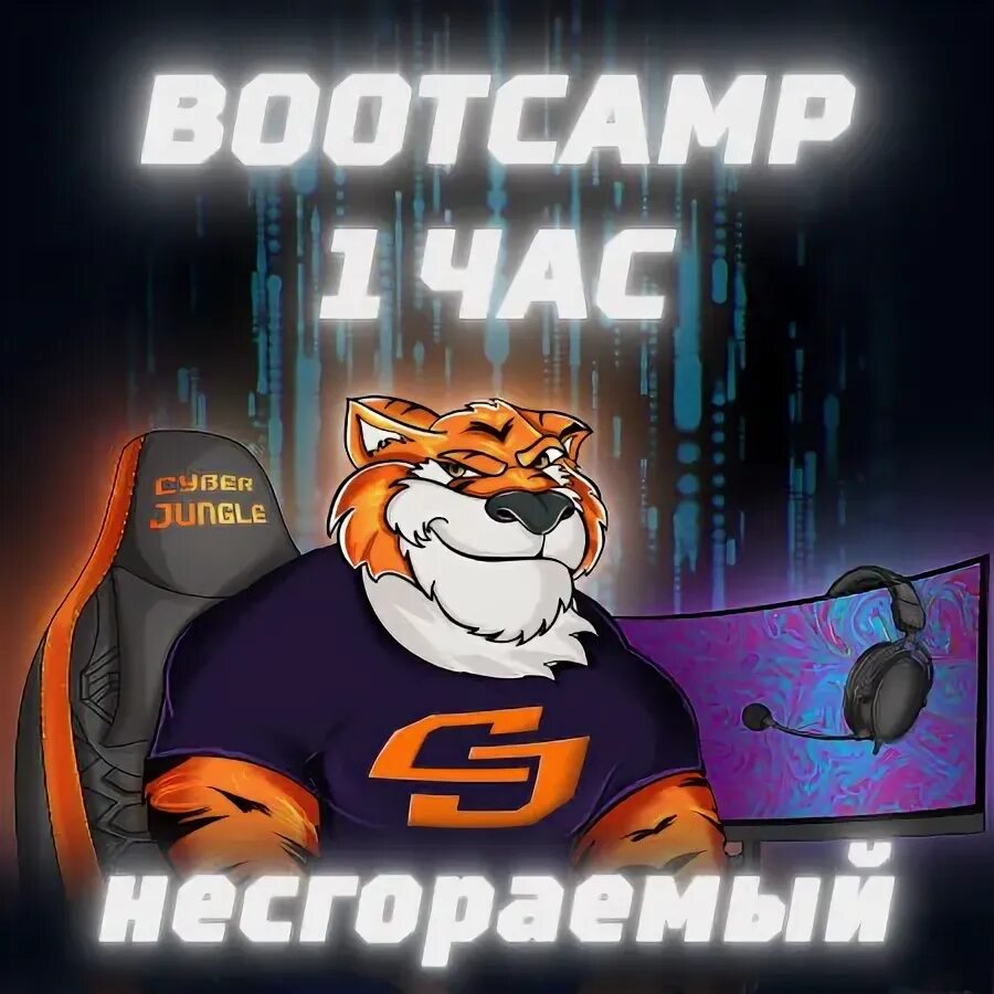 кибер джангл анапа