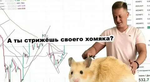 Прибыль в час или баланс в хомяке